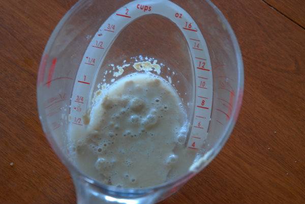 yeast in measuring cup