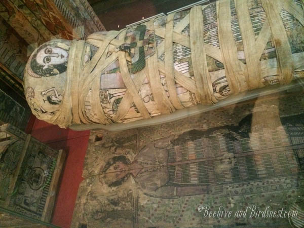 Cleopatras mummy