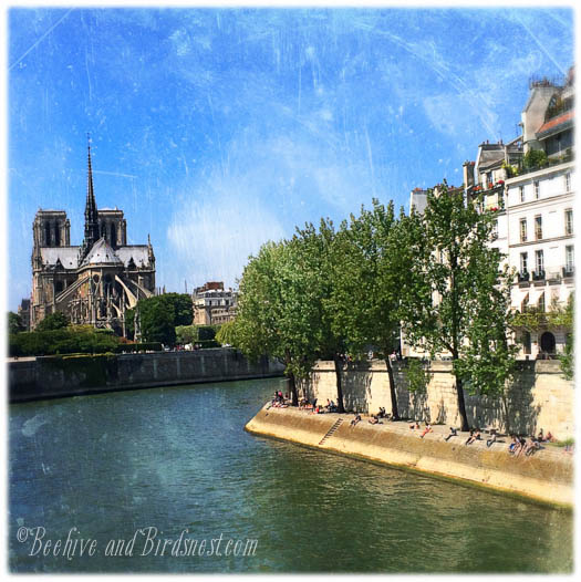 Paris Notre Dame Artsy
